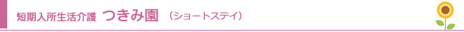 Z@݉iV[gXeCj